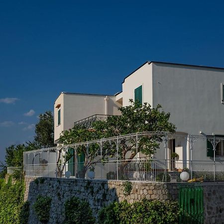 Villa La Pagaia Sorrento Coast 비코에쿠엔세 외부 사진