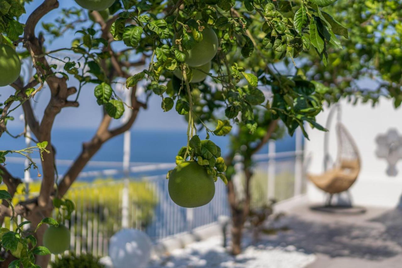 Villa La Pagaia Sorrento Coast 비코에쿠엔세 외부 사진