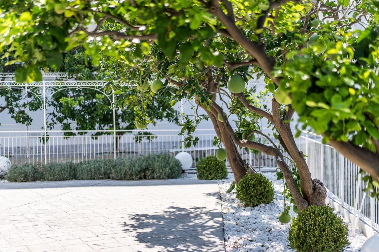 Villa La Pagaia Sorrento Coast 비코에쿠엔세 외부 사진