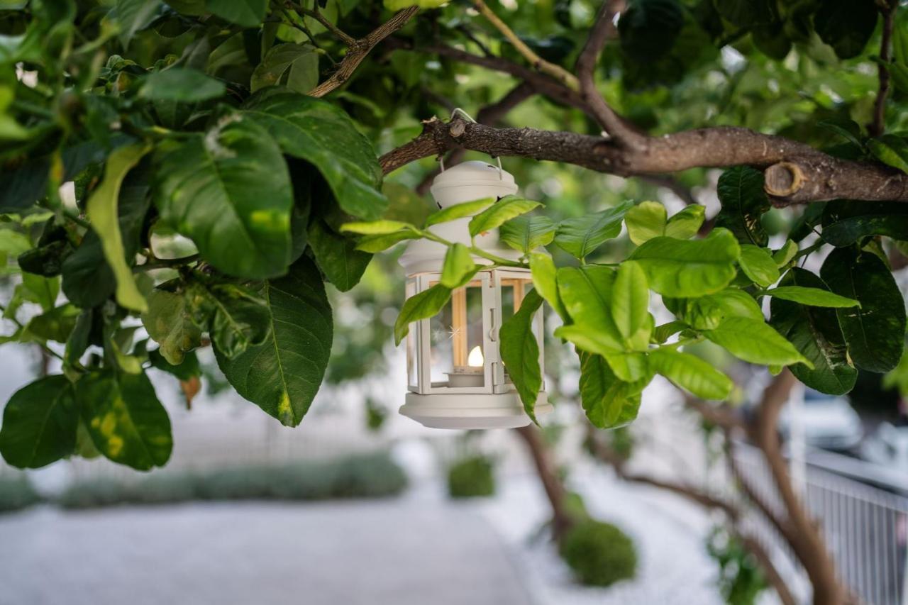 Villa La Pagaia Sorrento Coast 비코에쿠엔세 외부 사진